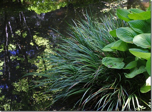 100726_Portland_Japanese_Garden_042