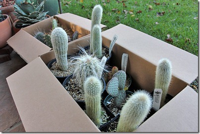 110114_cactus_haul1 110114_cactus_haul1