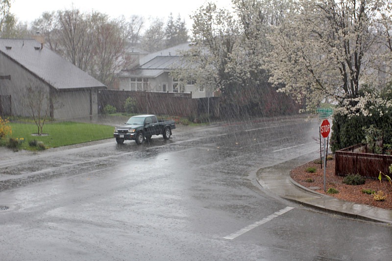 [110320_rain_front_yard[2].jpg]