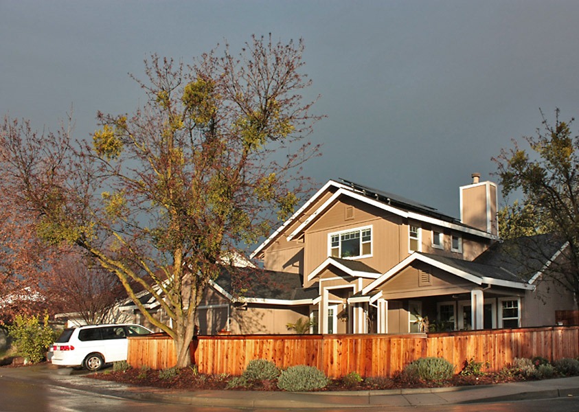 [090211_house_with_aristocrat_pear2.jpg]