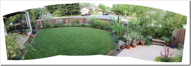 Front yard coming into its own