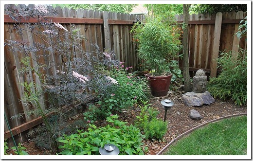 110514_backyard3 110514_backyard3