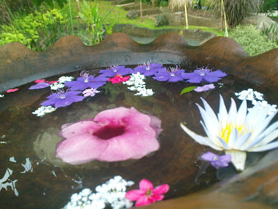flowers..