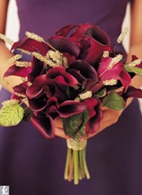 calla