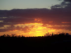 100_9027.JPG