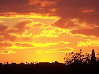 100_9028.JPG
