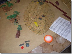 SDC11493 SDC11493