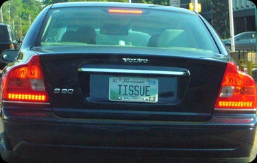 TISSUE_plate