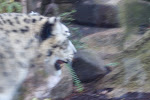 CIMG6245.JPG