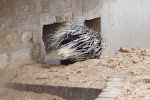 CIMG6267.JPG