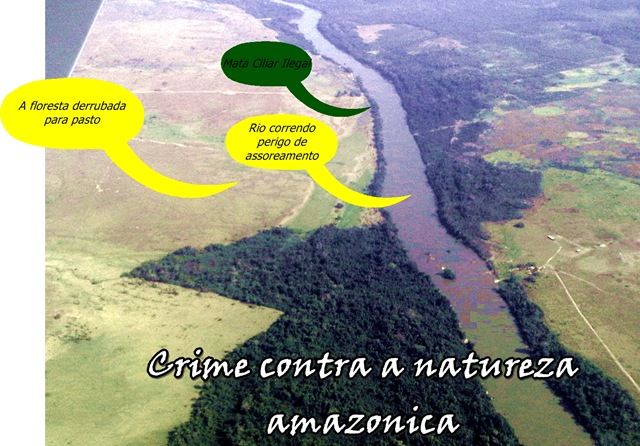 [Mata Ciliar Ilegal[4].jpg]