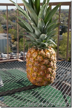 pineapple-11