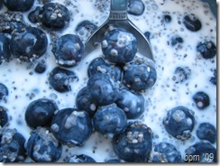 food 015 (2)
