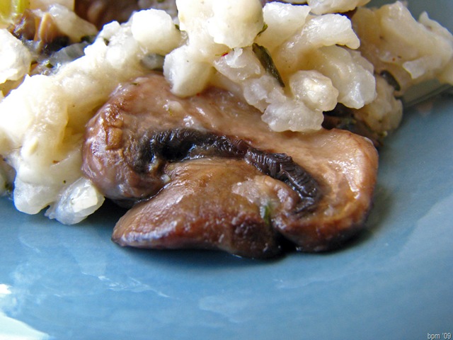 [IMG_2024_edited12.jpg]