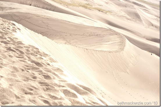 Sand Dunes-158
