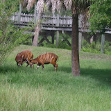 S3600021.JPG