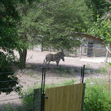 S3600027.JPG