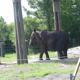 S3600030.JPG