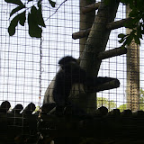S3600034.JPG