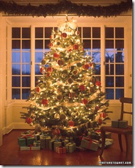 perfect tree
