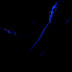 DSC_0351 copy.jpg
