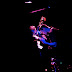 DSC_0332 copy.jpg