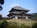 Another temple or castle in Nara