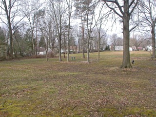 [Side Yard 1 sm[3].jpg]