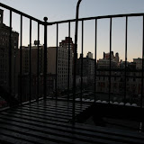 NY - Divers