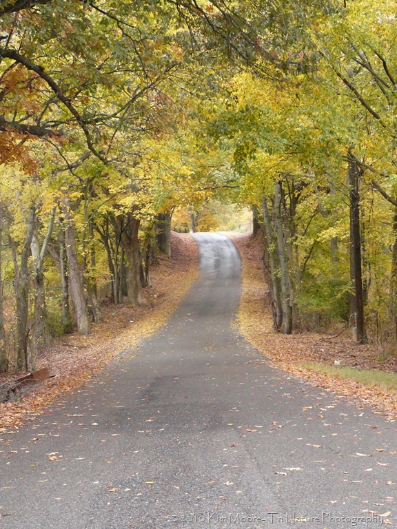 [P1070738[9].jpg]