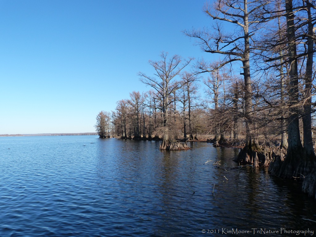 [P1020080[9].jpg]