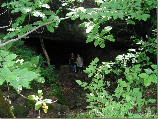 BatCave BatCave