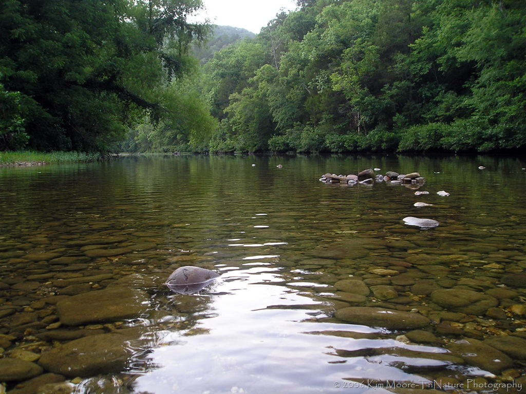 [Buffalo River[8].jpg]