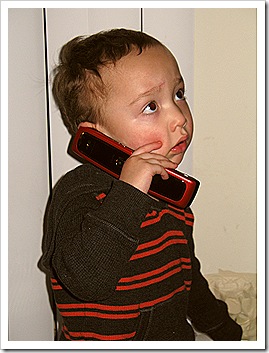 IMG_4446 IMG_4446
