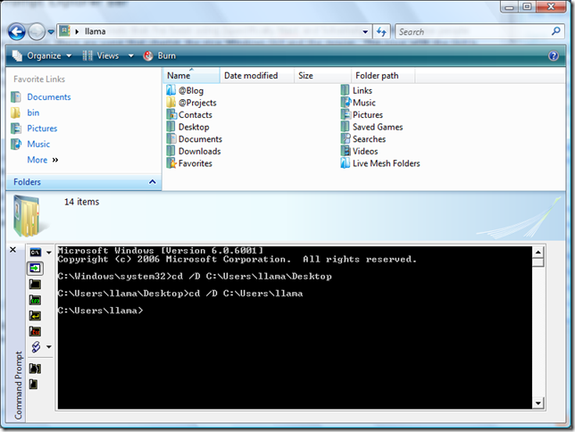 Command Prompt Explorer Bar Screen Shot on Windows Vista