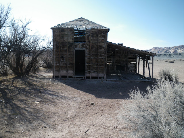 IMGP0382.JPG