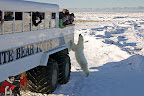 Traveling With Tiger Slideshow