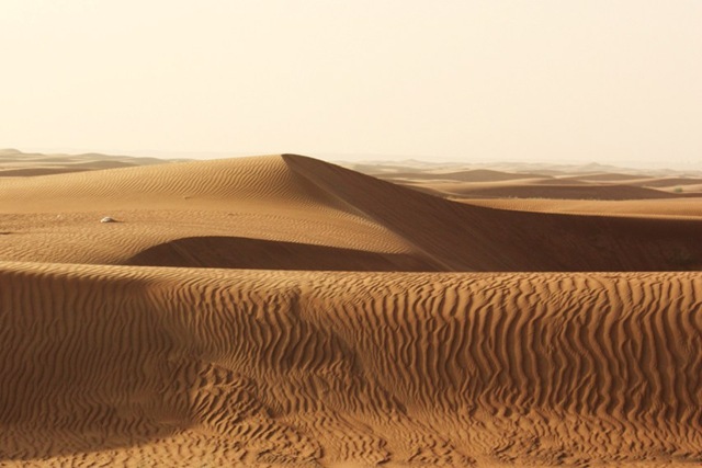 [dunes3.jpg]