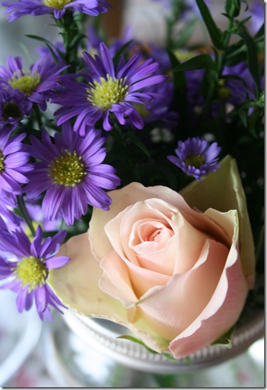blomster 005