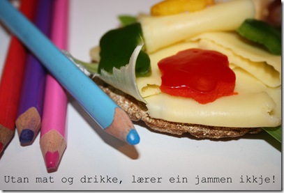 matpakke