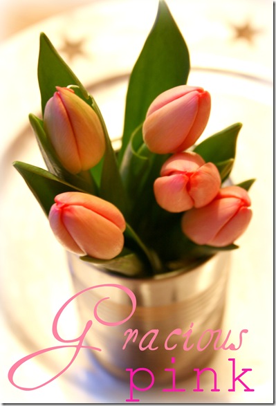 tulipan2
