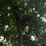 P7230148_800x600.jpg