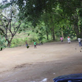 P7230163_800x600.jpg