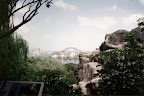 Goat on ledge with Sydney vista behind