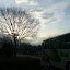 P1030186.JPG