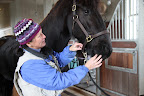 An Acupuncturist in my Stable