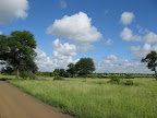 Day Three in Singita