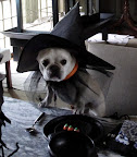 Things are spooky at the farm!