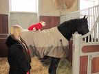 Visiting Martyn, the horse