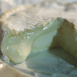 Camembert